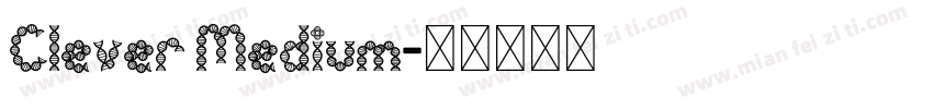 Clever Medium字体转换